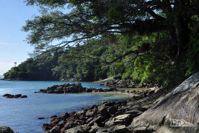 O fantástico e bucólico visual da praia de Sepultura, em Bombinhas, litoral de Santa Catarina